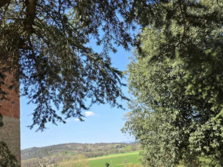 Immagine 18 di Villa in vendita  a Marsciano