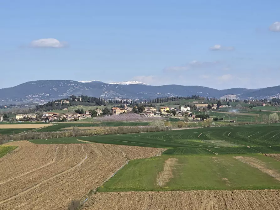 Immagine 19 di Villa in vendita  a Marsciano