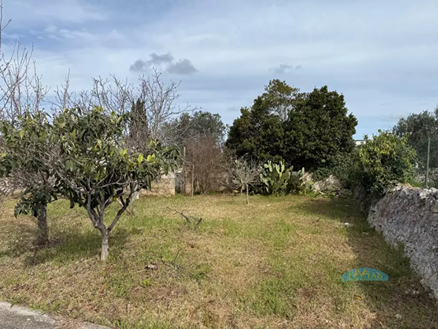 Immagine 7 di Villa in vendita  in Contrada Pezzente Allegro a Ceglie Messapico