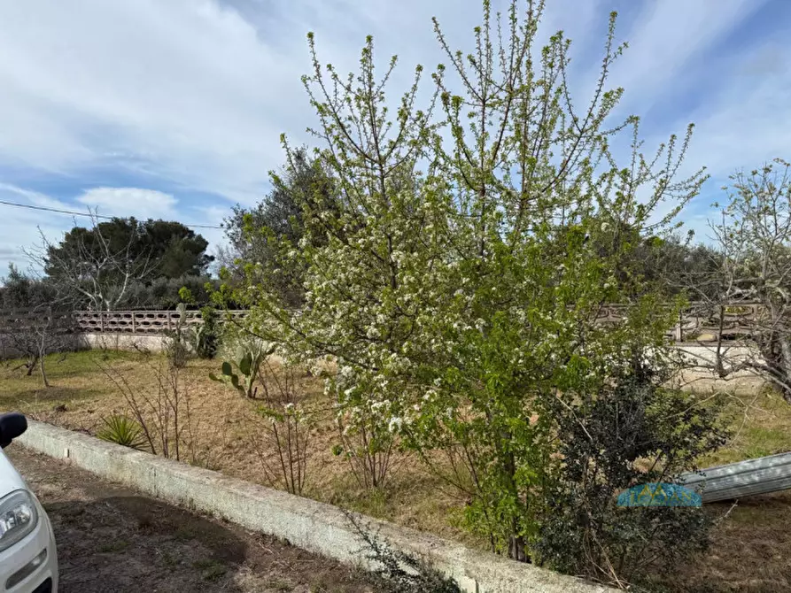 Immagine 28 di Villa in vendita  in Contrada Pezzente Allegro a Ceglie Messapico