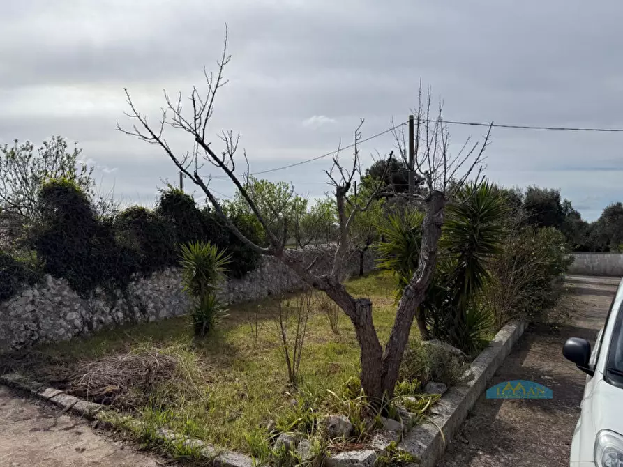 Immagine 29 di Villa in vendita  in Contrada Pezzente Allegro a Ceglie Messapico