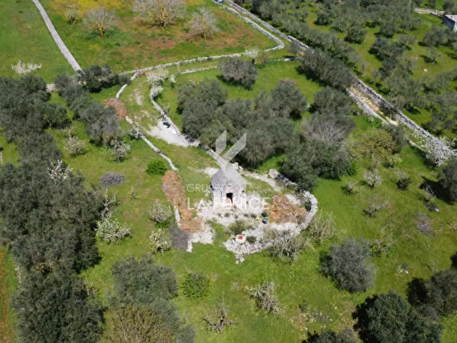 Immagine 1 di Terreno in vendita  in Contrada pipiriello a Martina Franca
