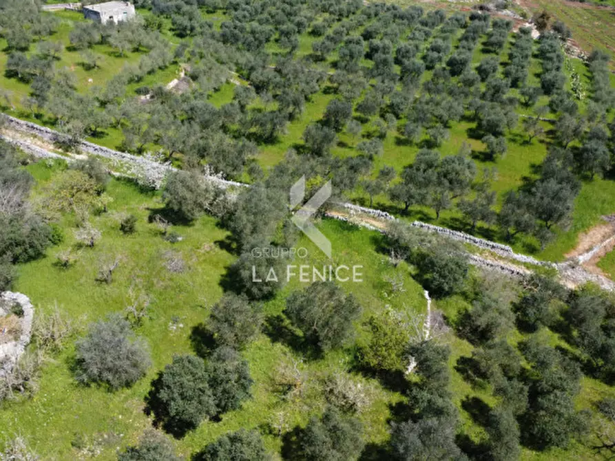 Immagine 2 di Terreno in vendita  in Contrada pipiriello a Martina Franca
