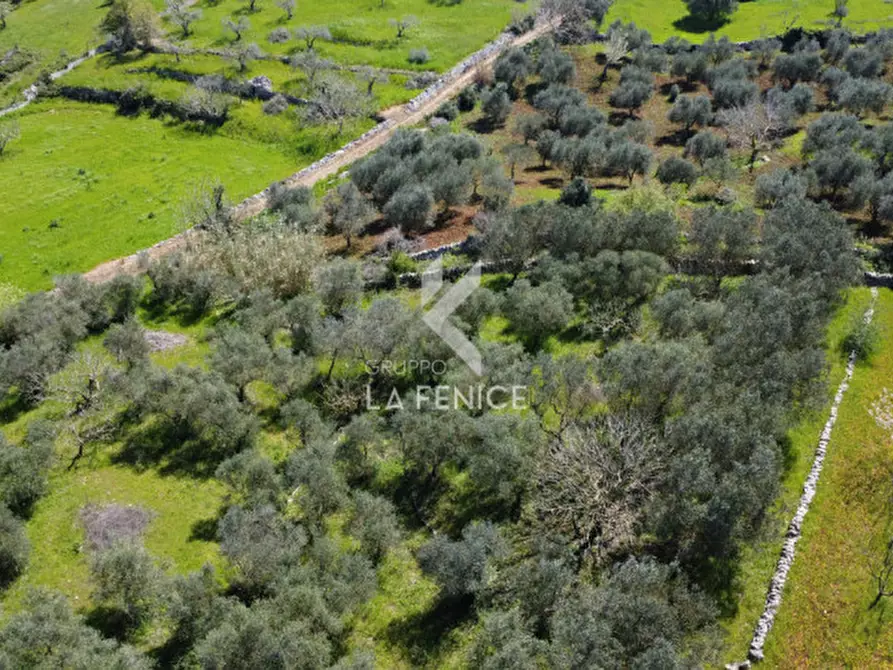 Immagine 3 di Terreno in vendita  in Contrada pipiriello a Martina Franca