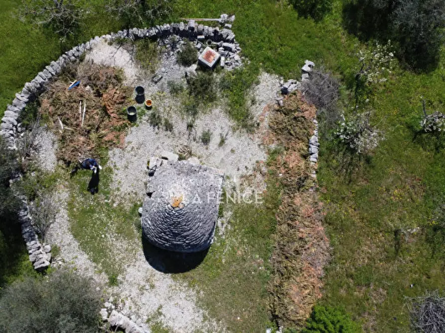 Immagine 4 di Terreno in vendita  in Contrada pipiriello a Martina Franca