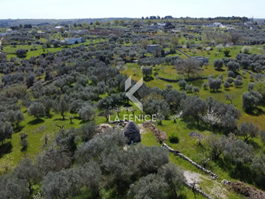 Immagine 5 di Terreno in vendita  in Contrada pipiriello a Martina Franca