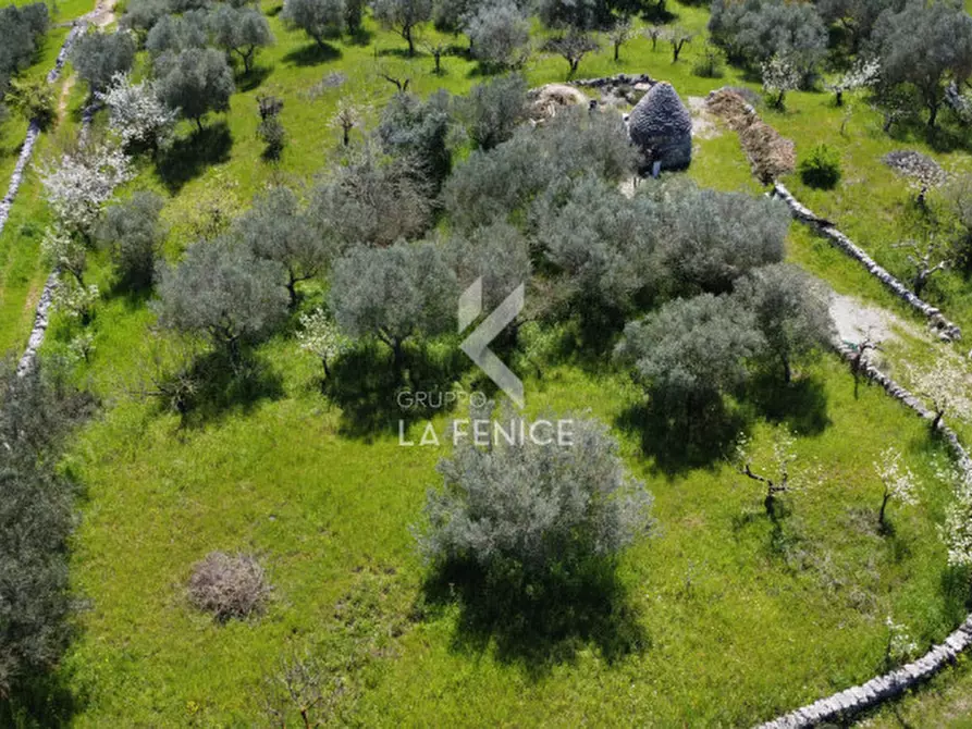 Immagine 7 di Terreno in vendita  in Contrada pipiriello a Martina Franca