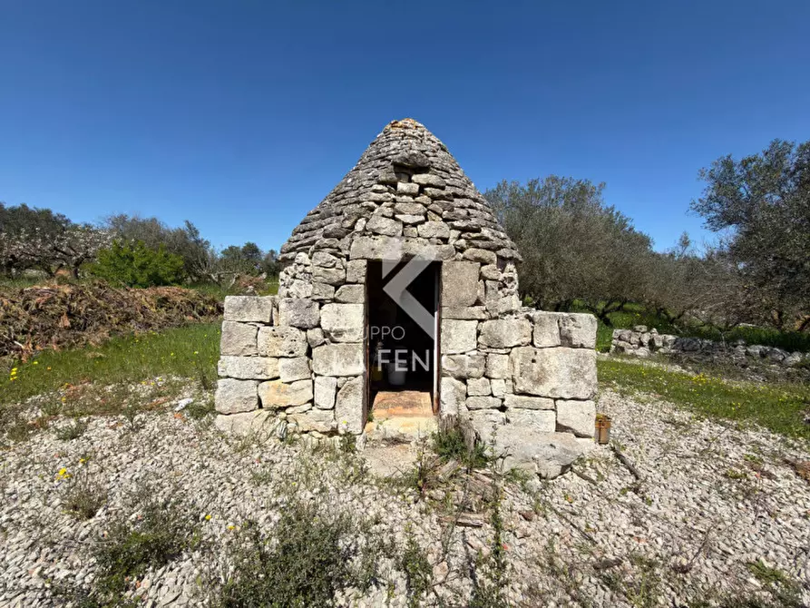 Immagine 8 di Terreno in vendita  in Contrada pipiriello a Martina Franca