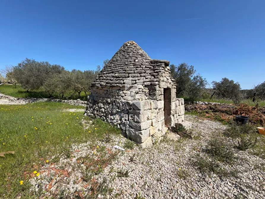 Immagine 12 di Terreno in vendita  in Contrada pipiriello a Martina Franca