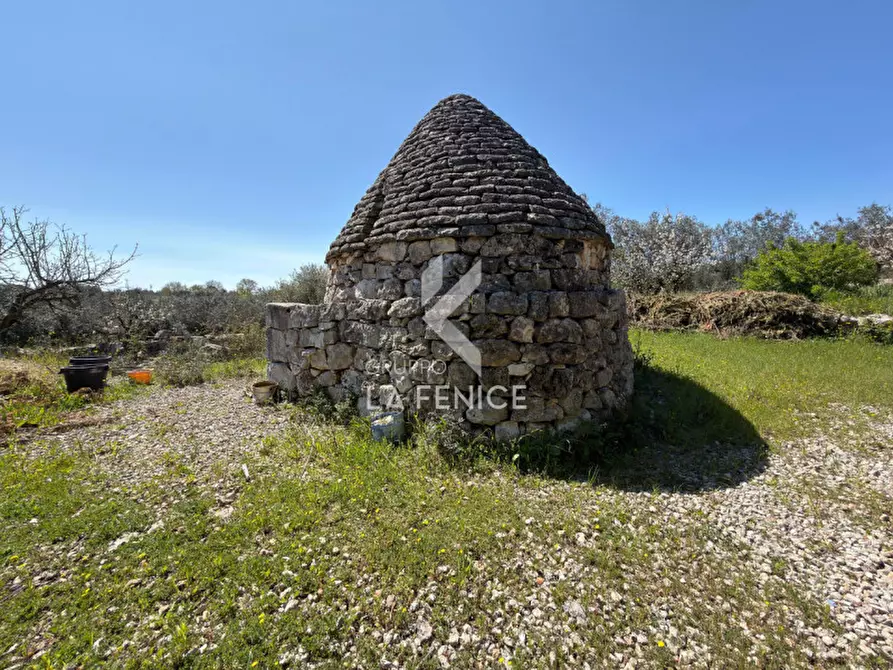 Immagine 13 di Terreno in vendita  in Contrada pipiriello a Martina Franca