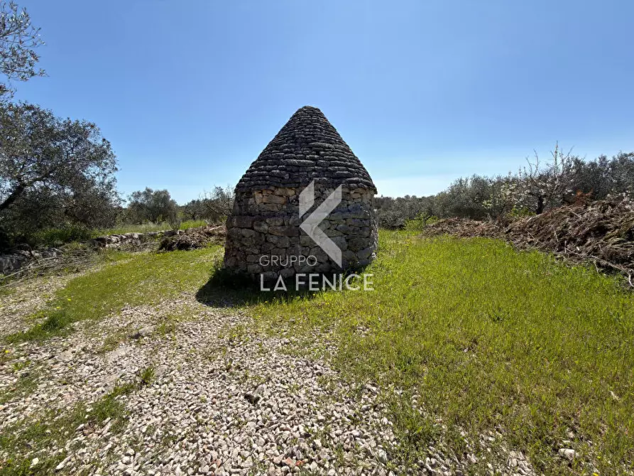 Immagine 14 di Terreno in vendita  in Contrada pipiriello a Martina Franca