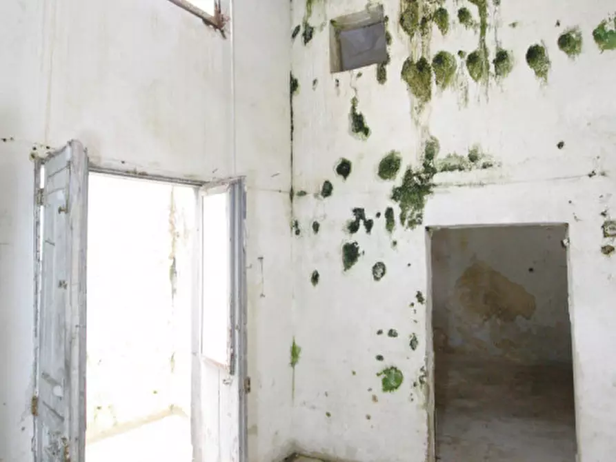 Immagine 14 di Casa indipendente in vendita  in Vico San Lorenzo a Matino