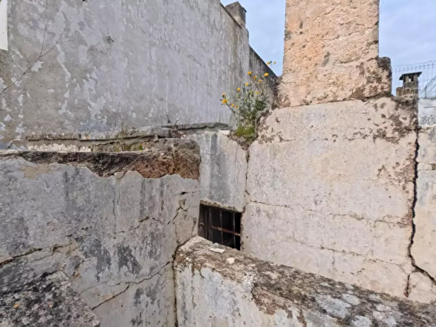 Immagine 22 di Casa indipendente in vendita  in Vico San Lorenzo a Matino