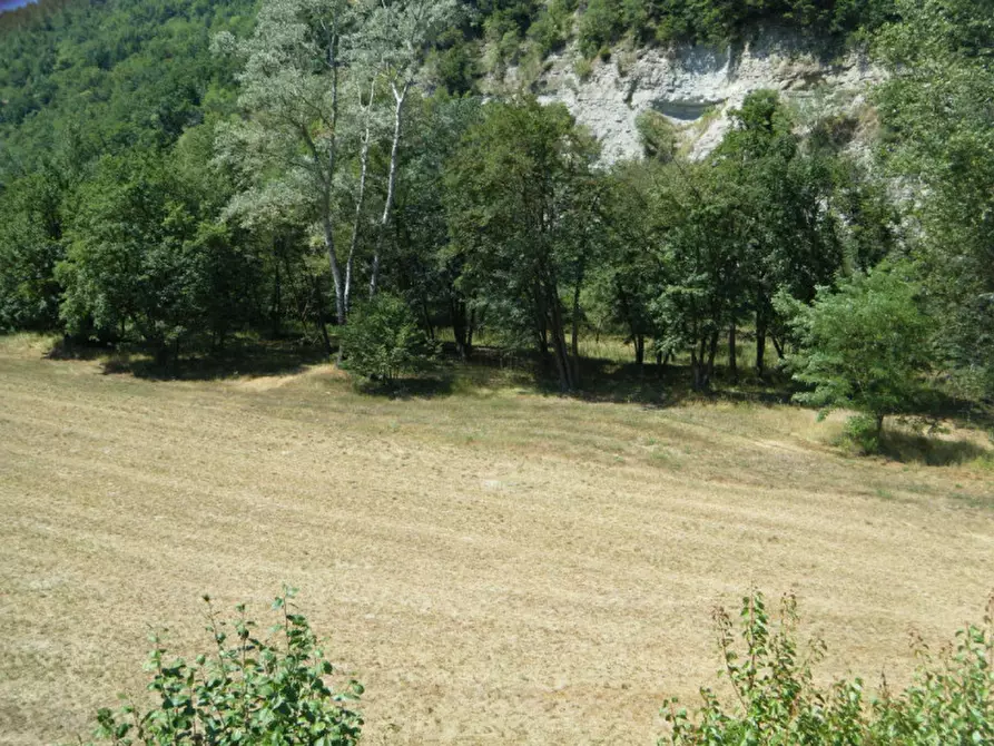 Immagine 3 di Casa indipendente in vendita  in Reg San Michele 3 - 12070 Castelletto Uzzone (CN) a Castelletto Uzzone