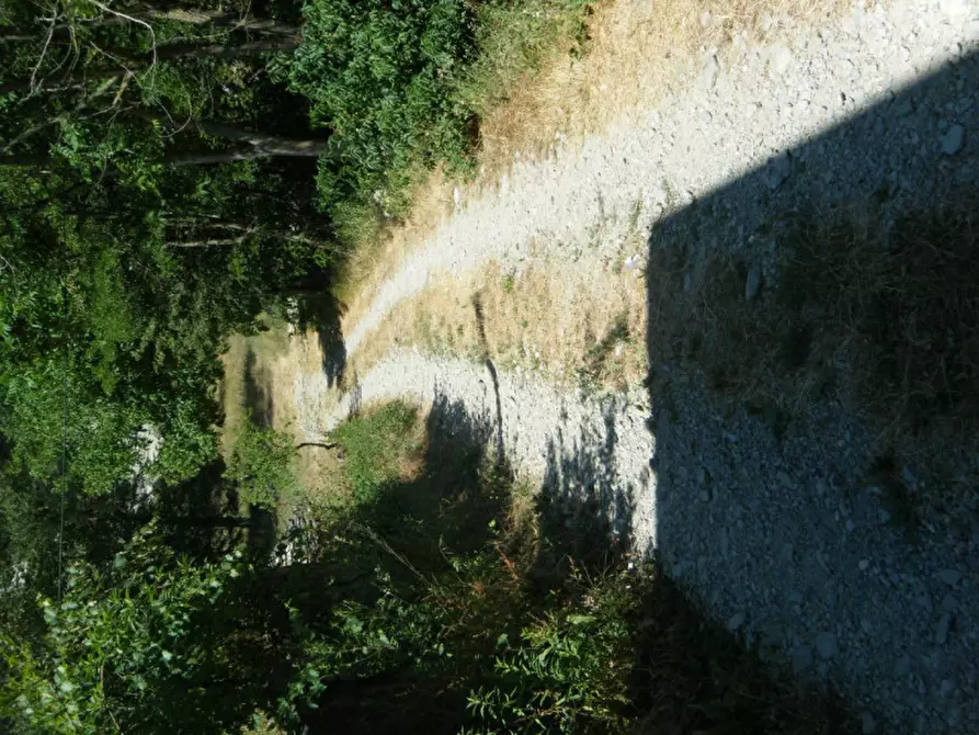 Immagine 15 di Casa indipendente in vendita  in Reg San Michele 3 - 12070 Castelletto Uzzone (CN) a Castelletto Uzzone