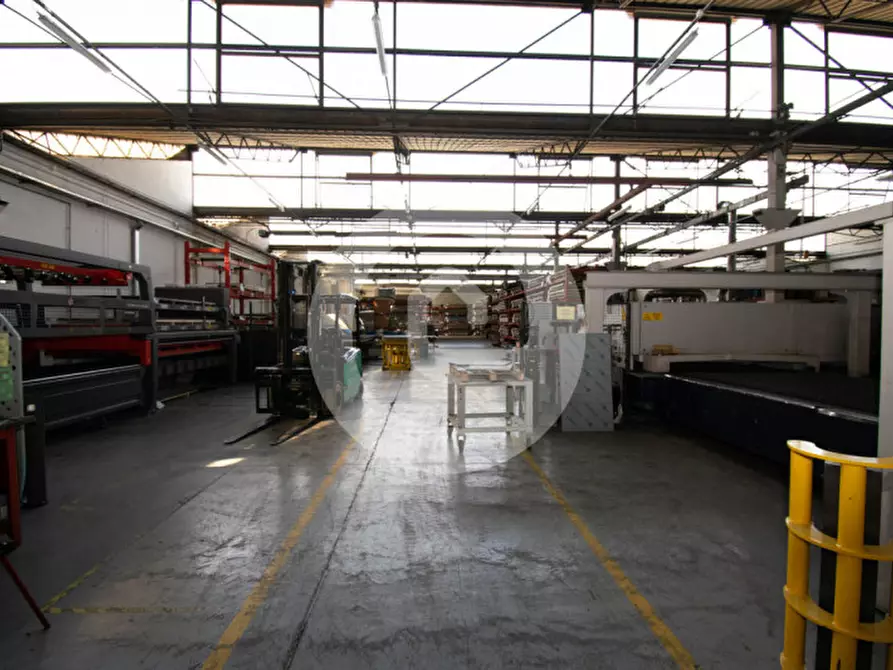 Immagine 2 di Capannone industriale in vendita  a San Giorgio Delle Pertiche