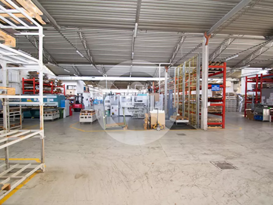 Immagine 4 di Capannone industriale in vendita  a San Giorgio Delle Pertiche