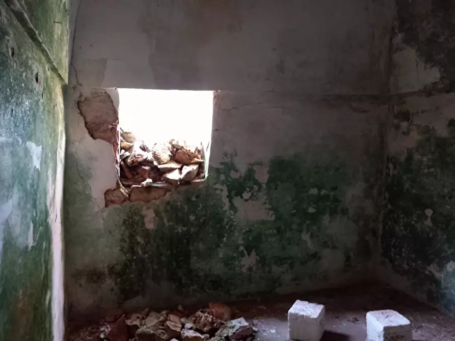 Immagine 4 di Rustico / casale in vendita  in C.da Sardella a Ceglie Messapico