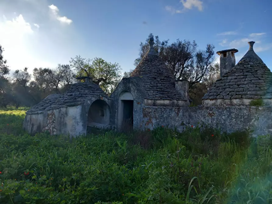 Immagine 9 di Rustico / casale in vendita  in C.da Sardella a Ceglie Messapico