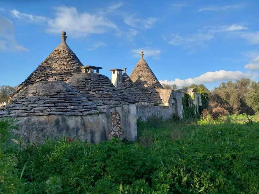 Immagine 11 di Rustico / casale in vendita  in C.da Sardella a Ceglie Messapico