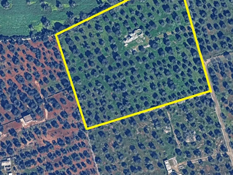 Immagine 14 di Rustico / casale in vendita  in C.da Sardella a Ceglie Messapico