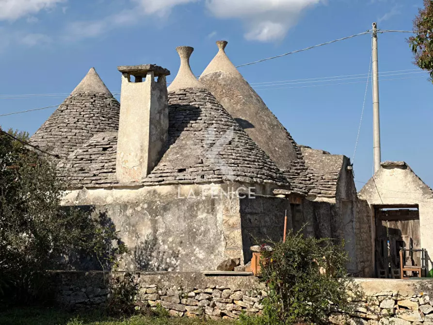 Immagine 4 di Rustico / casale in vendita  in Strada Porcile 127 a Martina Franca