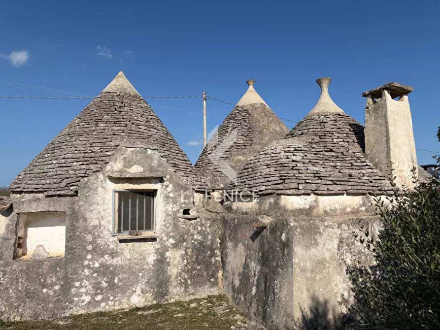 Immagine 5 di Rustico / casale in vendita  in Strada Porcile 127 a Martina Franca