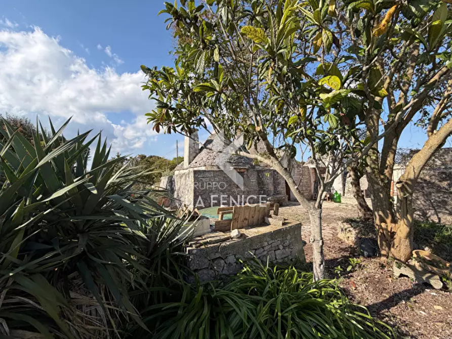 Immagine 7 di Rustico / casale in vendita  in Strada Porcile 127 a Martina Franca