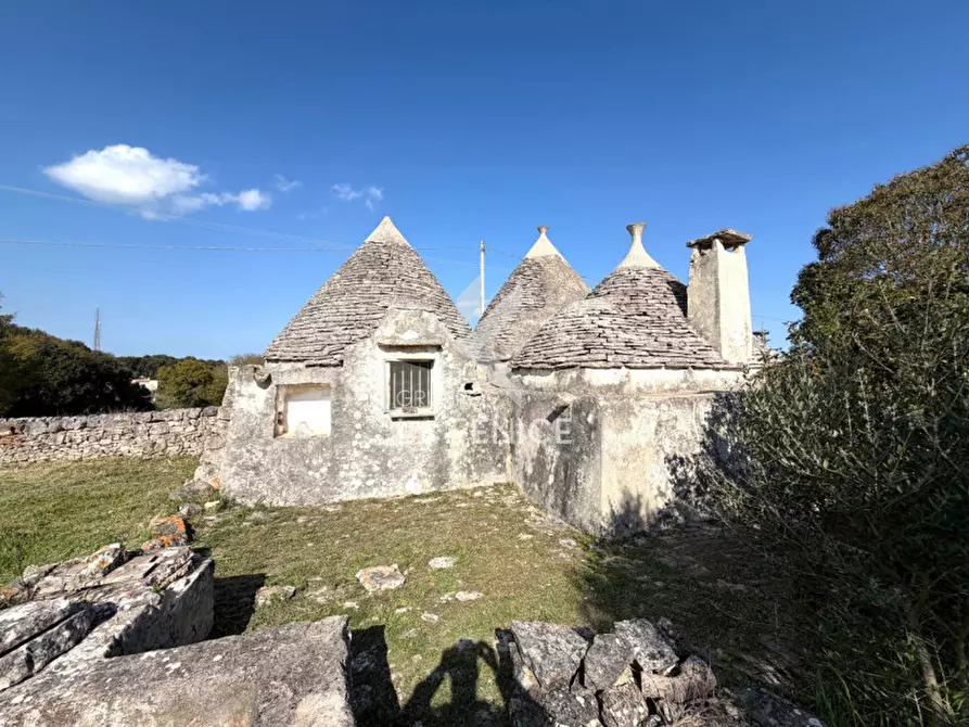 Immagine 10 di Rustico / casale in vendita  in Strada Porcile 127 a Martina Franca