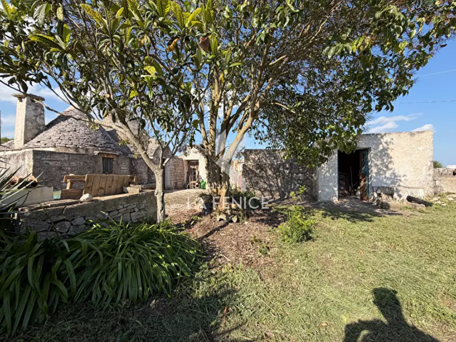 Immagine 12 di Rustico / casale in vendita  in Strada Porcile 127 a Martina Franca