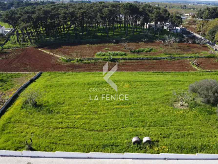 Immagine 32 di Rustico / casale in vendita  in Strada Porcile 127 a Martina Franca