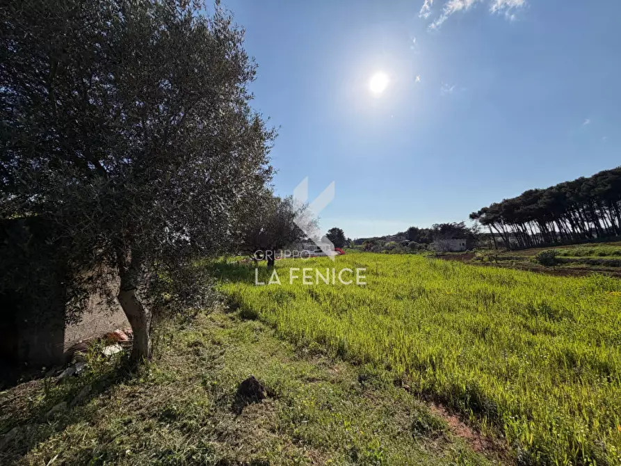 Immagine 34 di Rustico / casale in vendita  in Strada Porcile 127 a Martina Franca