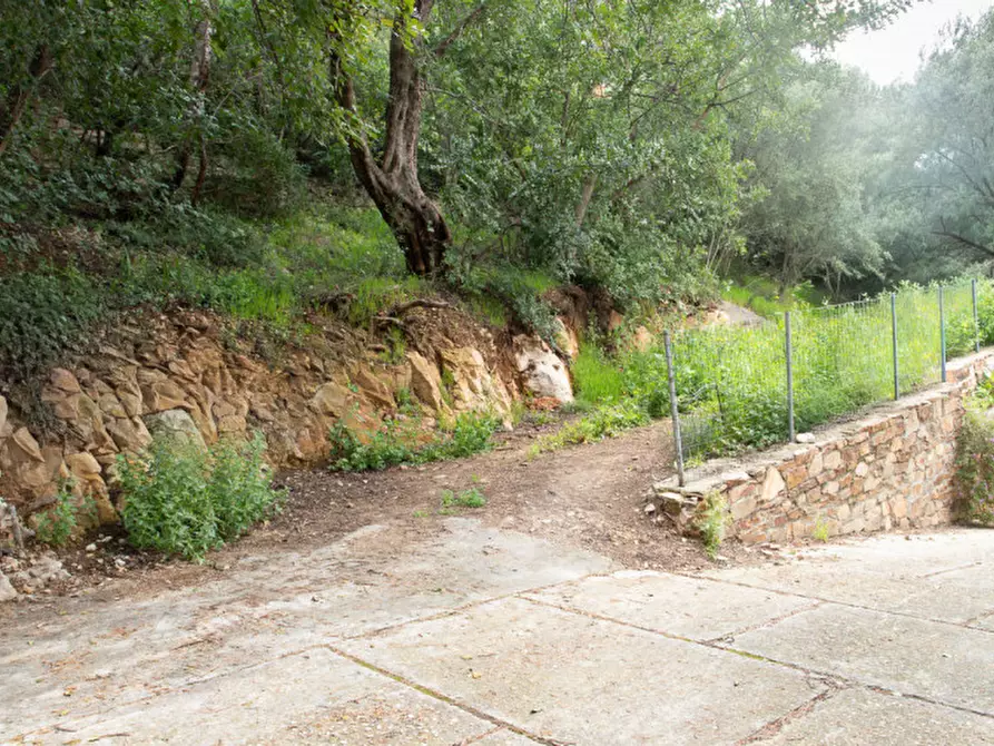 Immagine 24 di Appartamento in vendita  in Via Montelatu a Siniscola