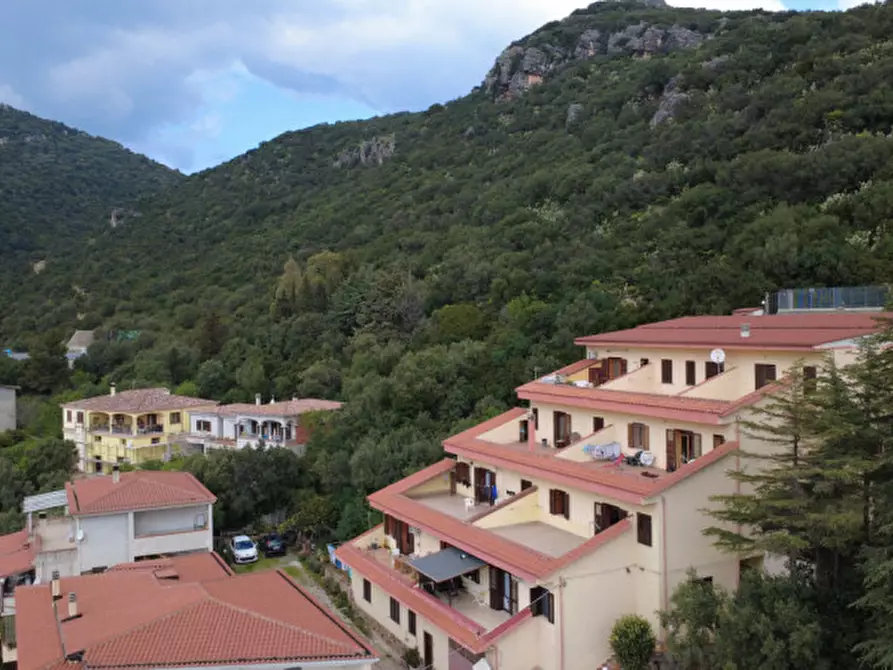 Immagine 25 di Appartamento in vendita  in Via Montelatu a Siniscola