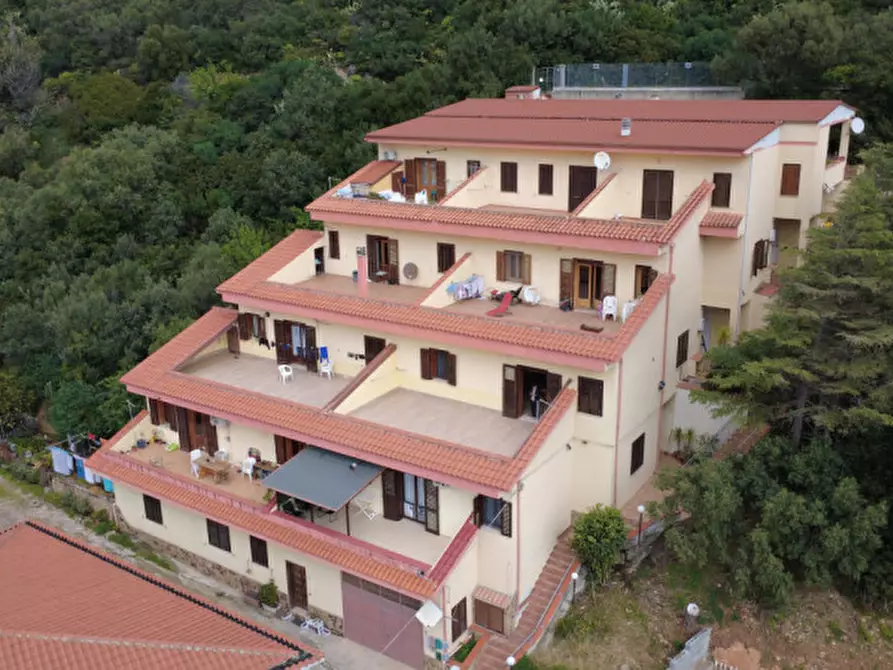 Immagine 27 di Appartamento in vendita  in Via Montelatu a Siniscola