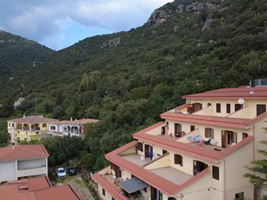 Immagine 29 di Appartamento in vendita  in Via Montelatu a Siniscola