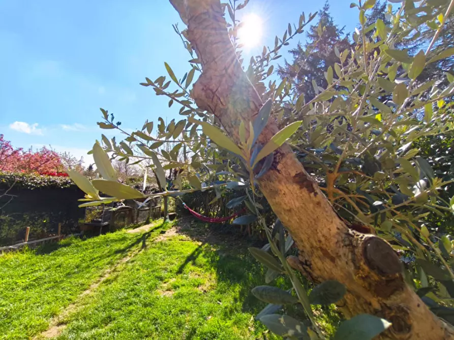 Immagine 21 di Villetta a schiera in vendita  in Via Carlo Jussi a San Lazzaro Di Savena