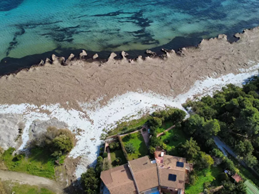 Immagine 3 di Villetta a schiera in vendita  in Via dei Ciclamini a Siniscola