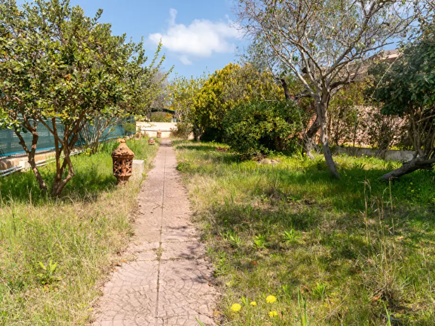 Immagine 32 di Villetta a schiera in vendita  in Via dei Ciclamini a Siniscola