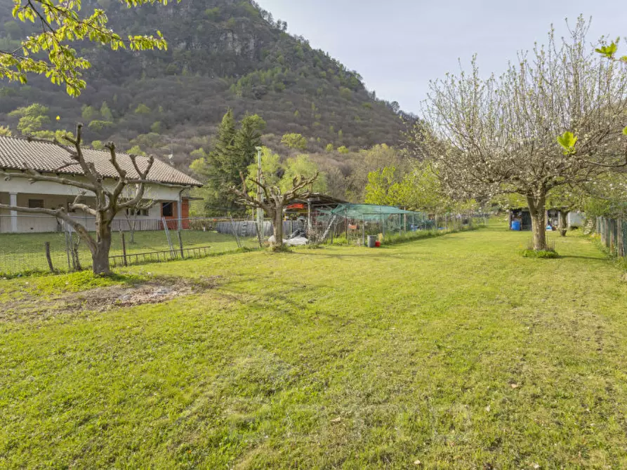 Immagine 7 di Terreno in vendita  in Via Mozzalina 45 a Omegna