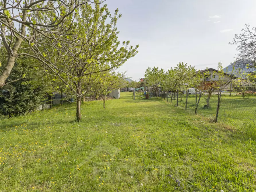 Immagine 8 di Terreno in vendita  in Via Mozzalina 45 a Omegna