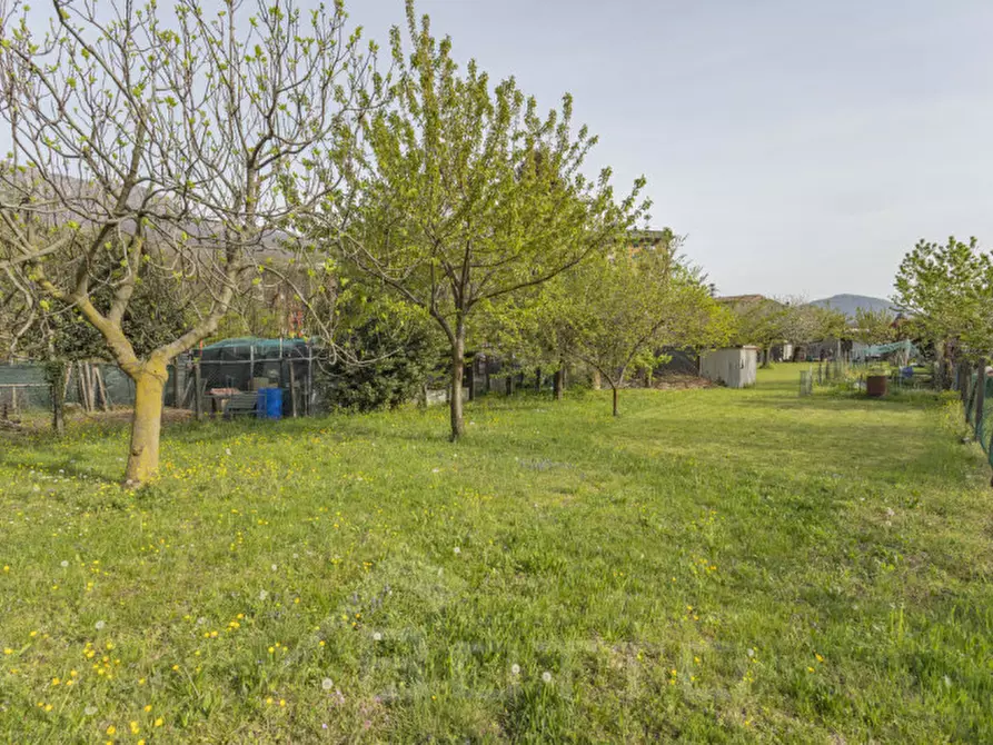 Immagine 9 di Terreno in vendita  in Via Mozzalina 45 a Omegna
