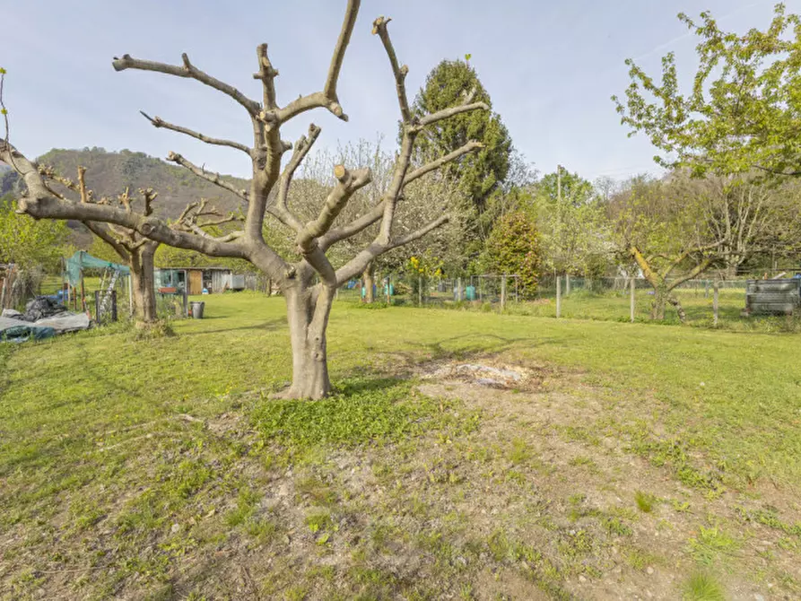 Immagine 10 di Terreno in vendita  in Via Mozzalina 45 a Omegna