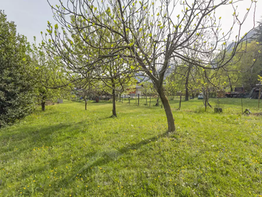 Immagine 11 di Terreno in vendita  in Via Mozzalina 45 a Omegna