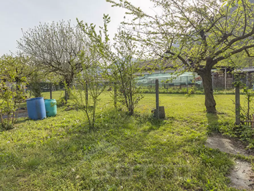 Immagine 12 di Terreno in vendita  in Via Mozzalina 45 a Omegna