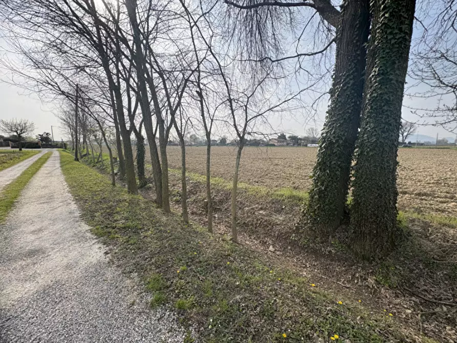Immagine 1 di Terreno in vendita  in Via Pelosa a Saccolongo