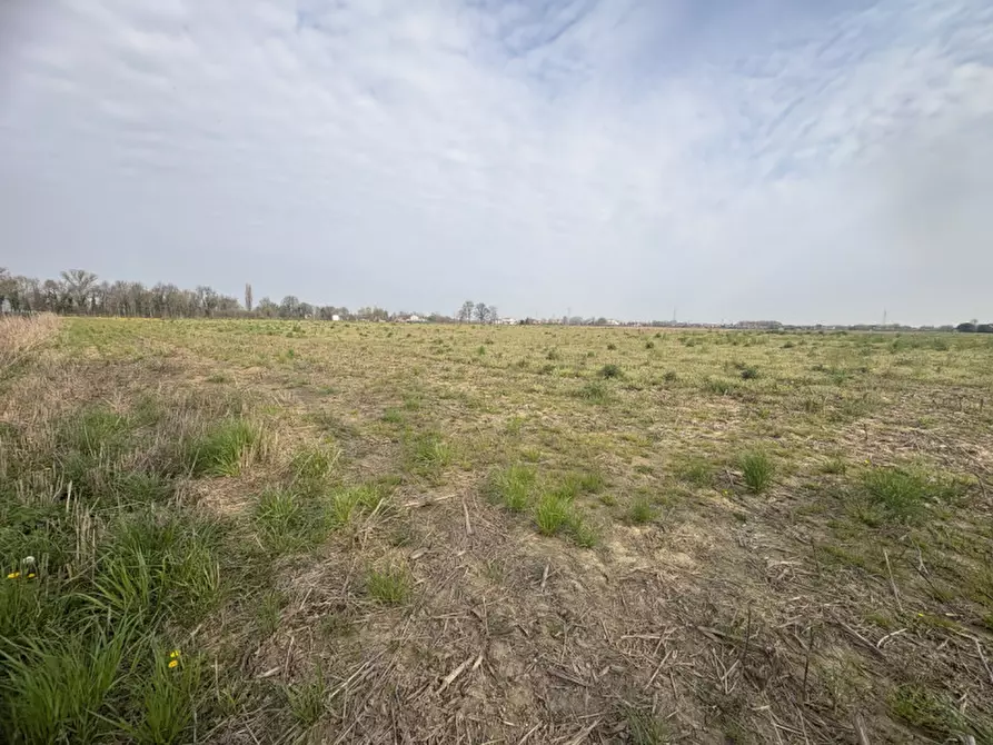 Immagine 2 di Terreno in vendita  in Via Pelosa a Saccolongo