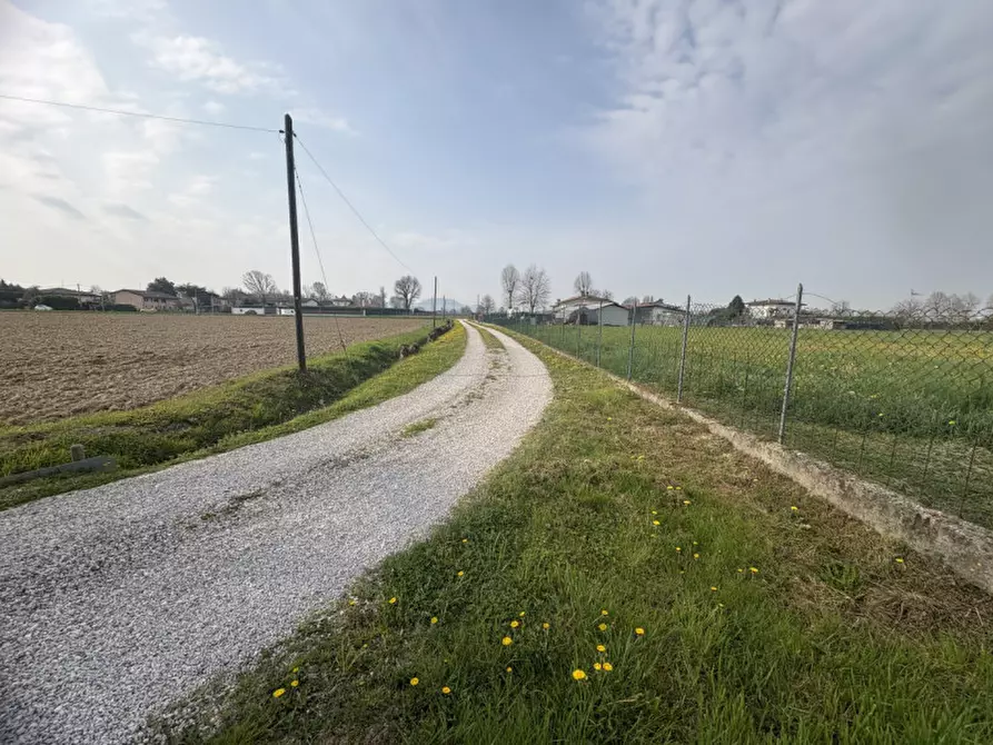 Immagine 3 di Terreno in vendita  in Via Pelosa a Saccolongo