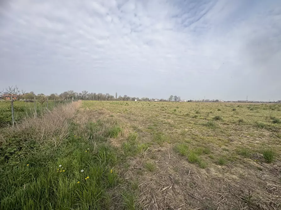 Immagine 4 di Terreno in vendita  in Via Pelosa a Saccolongo