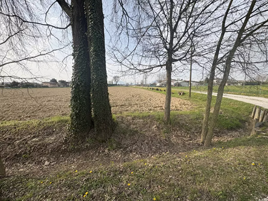 Immagine 5 di Terreno in vendita  in Via Pelosa a Saccolongo